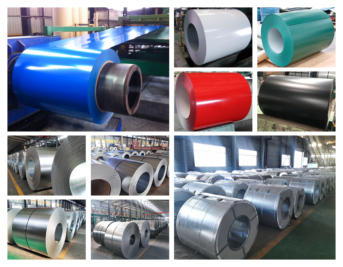 Galvanized Steel Coil Color Coated Steel Coil